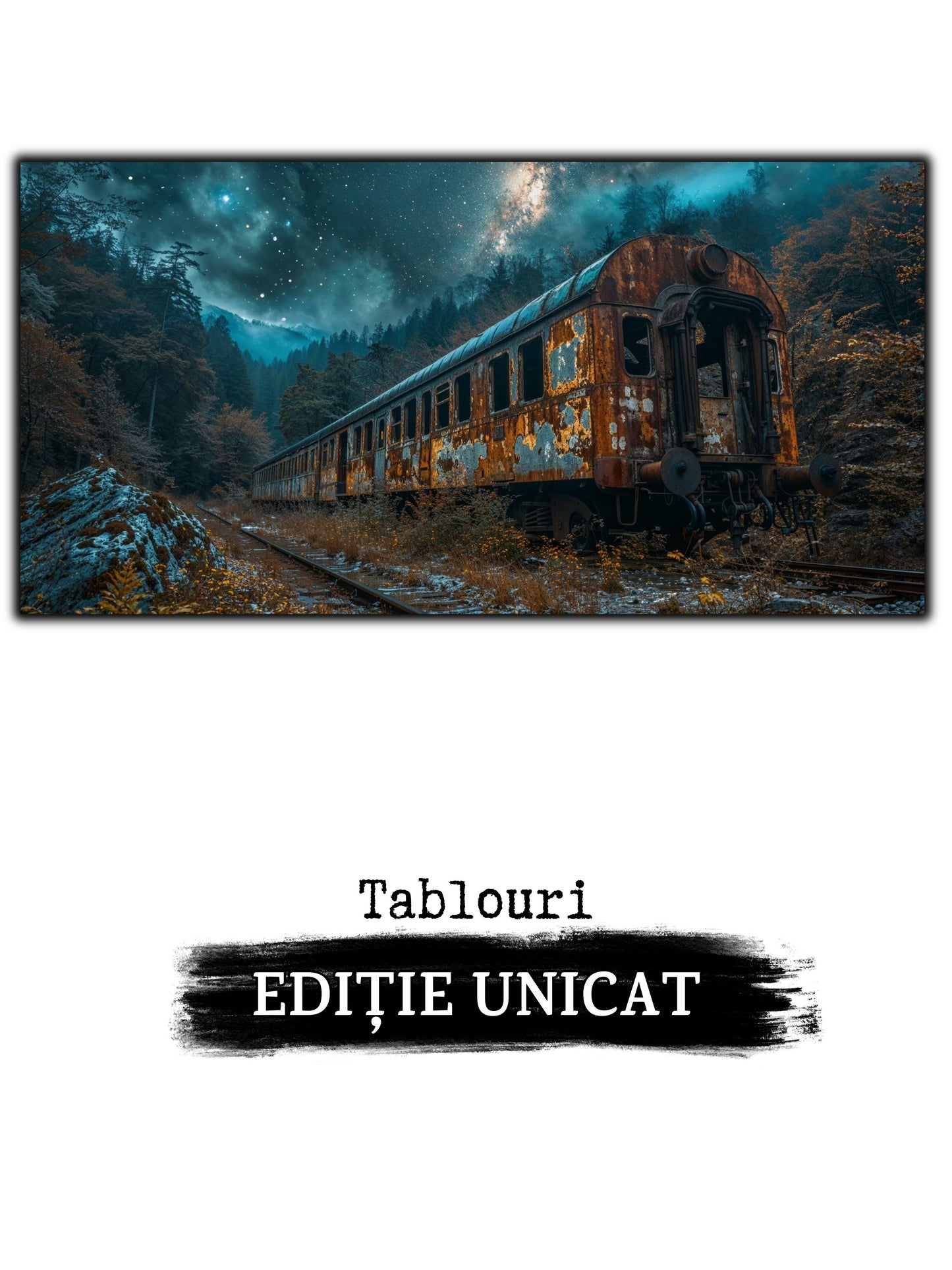 Tablou Sticla Securizata - Last Station - 13