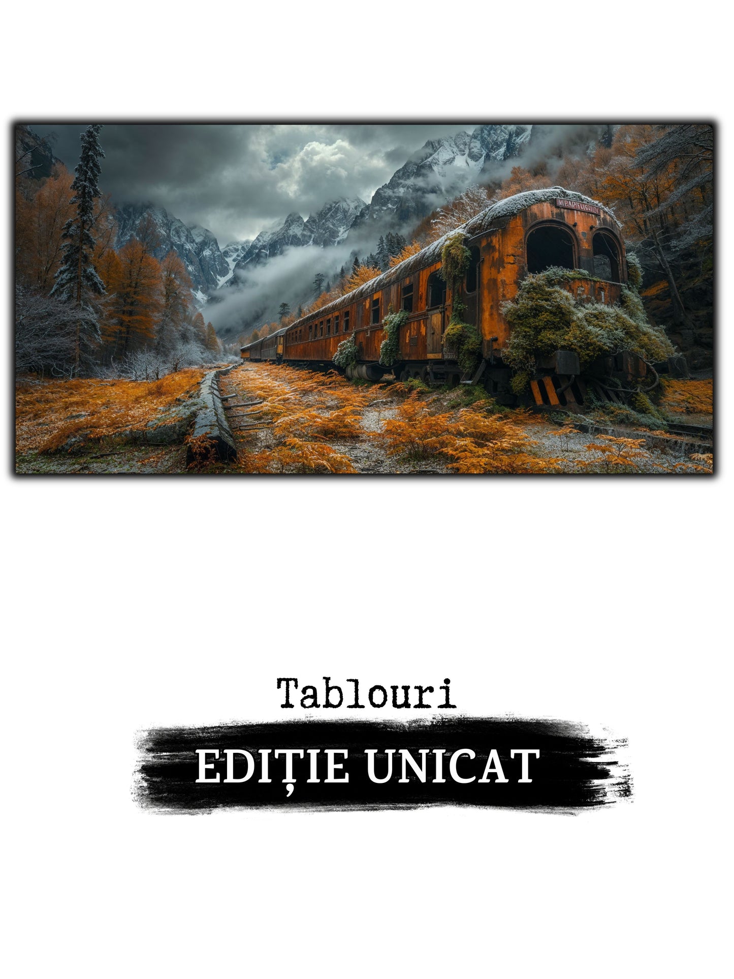Tablou Sticla Securizata - Last Station - 10